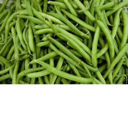 Green Bean hangout