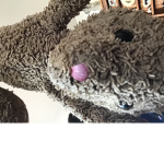 Bunbunn