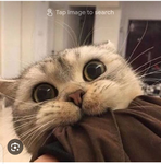 جروب هنا