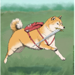 Doge Kingdom (Army)