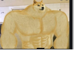The Doge Killers