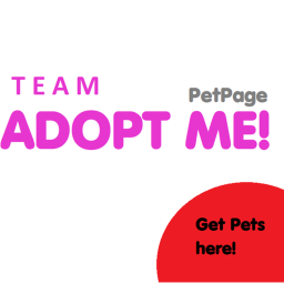 🌴 Adopt Me! | Pet Page 🎁
