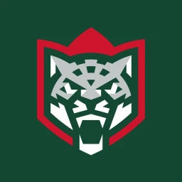 Arena tatneft icon