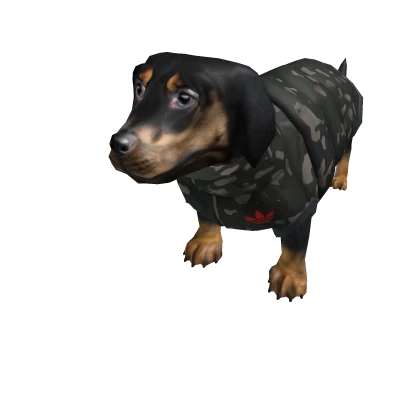 adidas Big Dog Dachshund Roblox Item Rolimon s