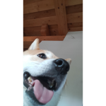 Hellomafrendz