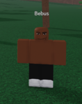 bebus