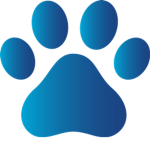el team de las mascotas unidas