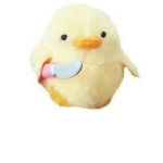 Ducky Donate/I give