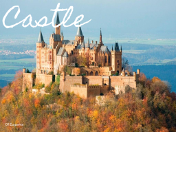 Castle