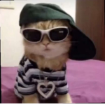 XANZV<3