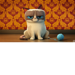 PawnessAce's Family