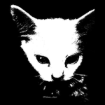 Camicats<3