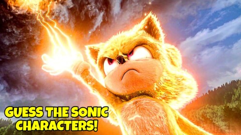 Guess The Sonic Characters!