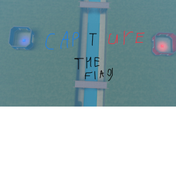 capture the flag!