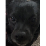 Mama Beanz