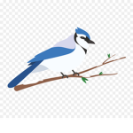 Blue Jay Hotels