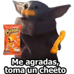 Grupo de perfects