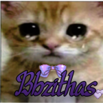 Bbzithas