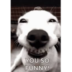 You so funny