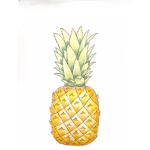 Ms.PineappleGirl