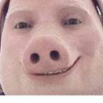 The John Pork Fan Group!