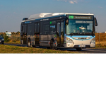 Bus 206 RATP