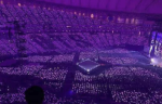 Gracie’s univers