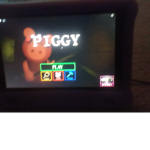 Pigs family