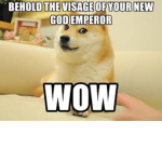 Eggs and Shiba studios