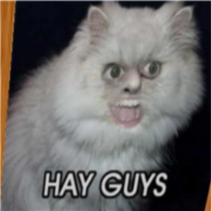 CAT Roblox decal