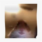 hamster_king