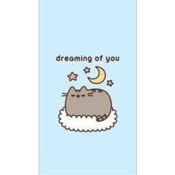 pusheen :3