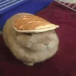 [MAINTENANCE] The Divinous Showdown