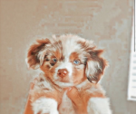 Stellaz Apperal <3
