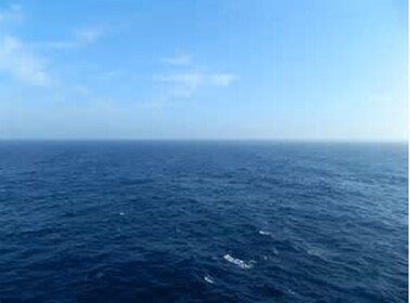 Lost At Sea Theater's 