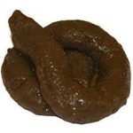 the poop men