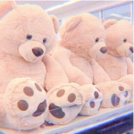 Calm teddies