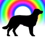 Rainbow Pups