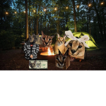 Floppa camp