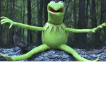Kermit gone wrong