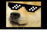 COOL DOGEEEE