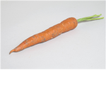 i am a carrot