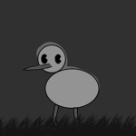 Black and white kiwi birds