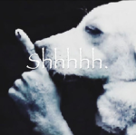 Yamamayaa