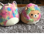 Cute animal lions