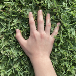 We’re Touching Grass