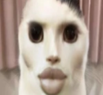 phlozx