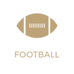Football Fever Studios