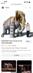 Elelphant