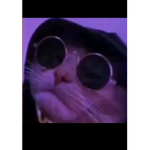 Meme la boss